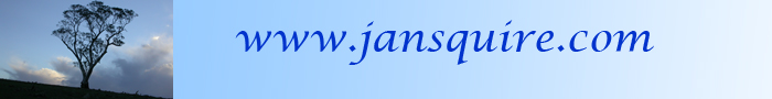 www.jansquire.com web banner